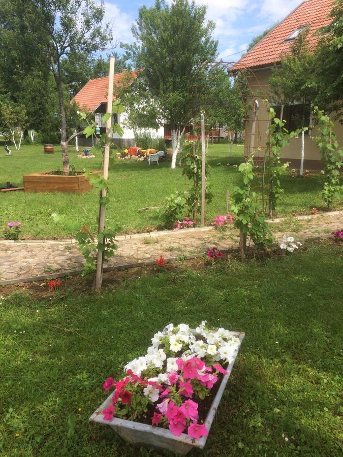 Apartments Eco Forest Resort Rakovica Exterior photo