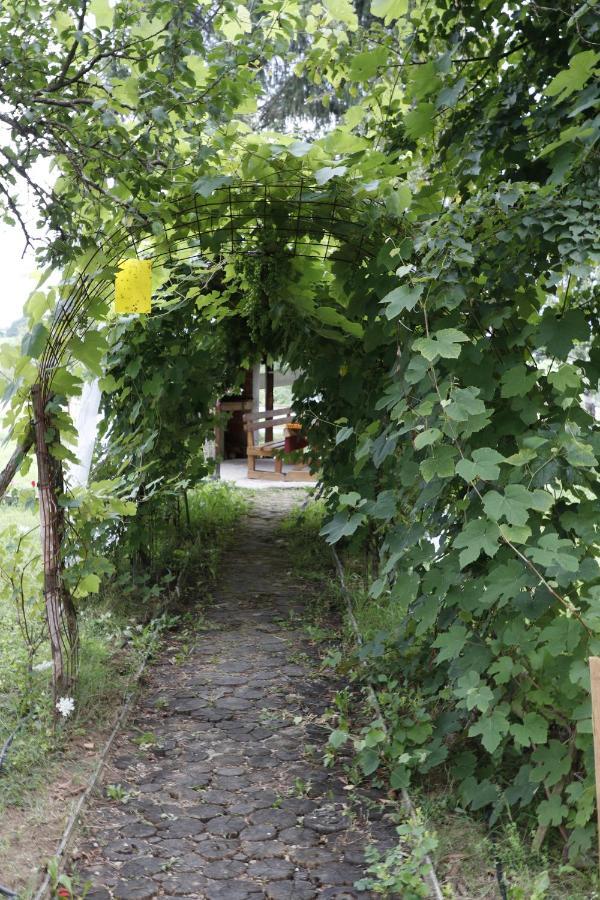 Apartments Eco Forest Resort Rakovica Exterior photo